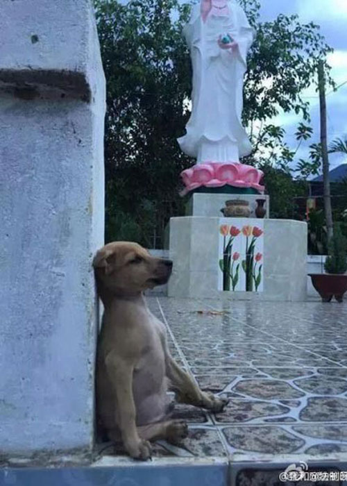 Bao mang chuyen hai chu cho om nhau moi luc moi noi